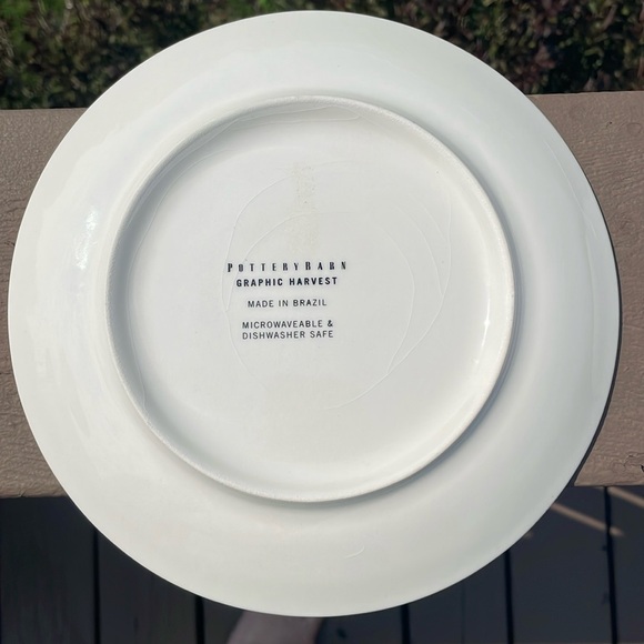 Pottery Barn Graphic Harvest 8.25” Diameter Plates - Set of 2 - Picture 4 of 9